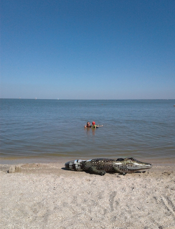 Грязное море в Ейске, отзыв6