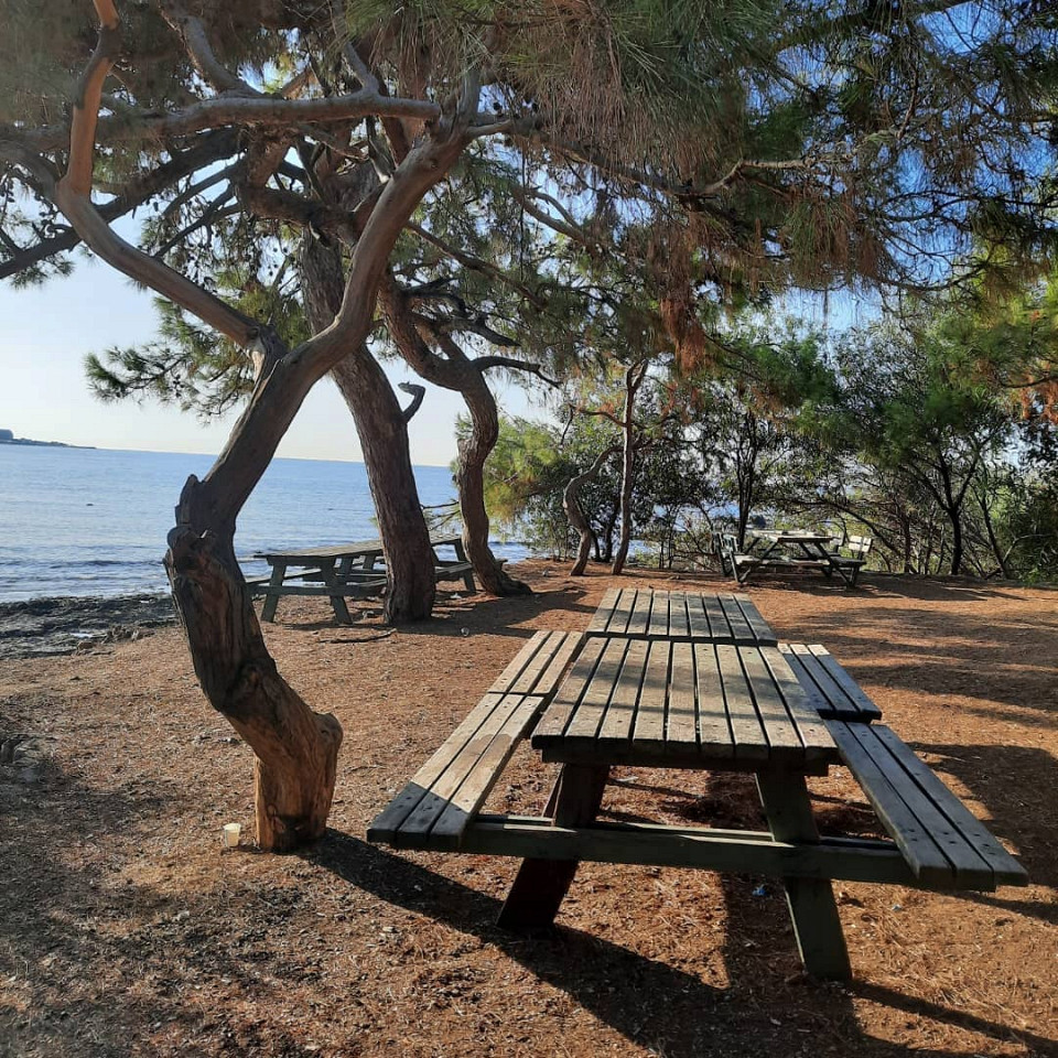В Авсаллар в конце октября8