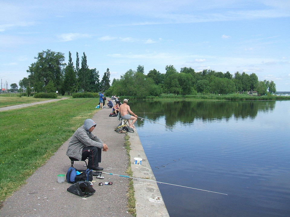 Сестрорецкий Разлив, рыбалка