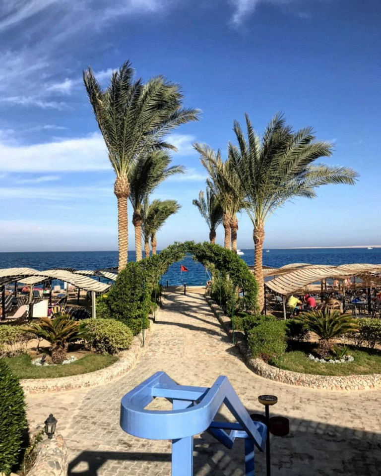 Пульт в пакетике, томные египтяне и собаки в бассейне4