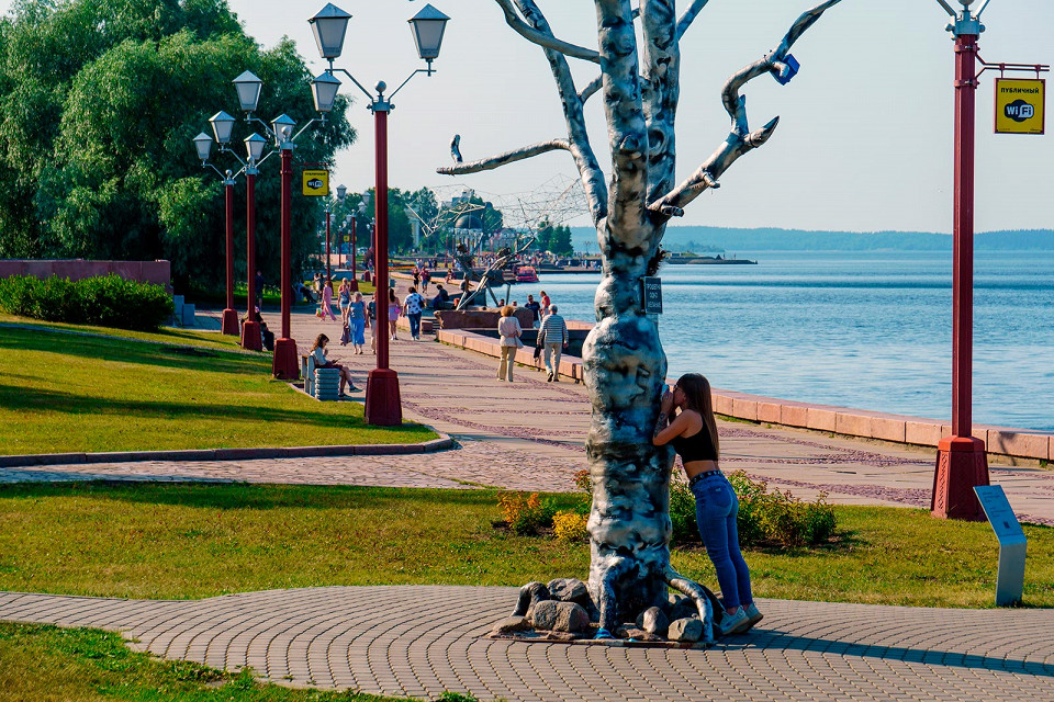 Дерево желаний в Петрозаводске