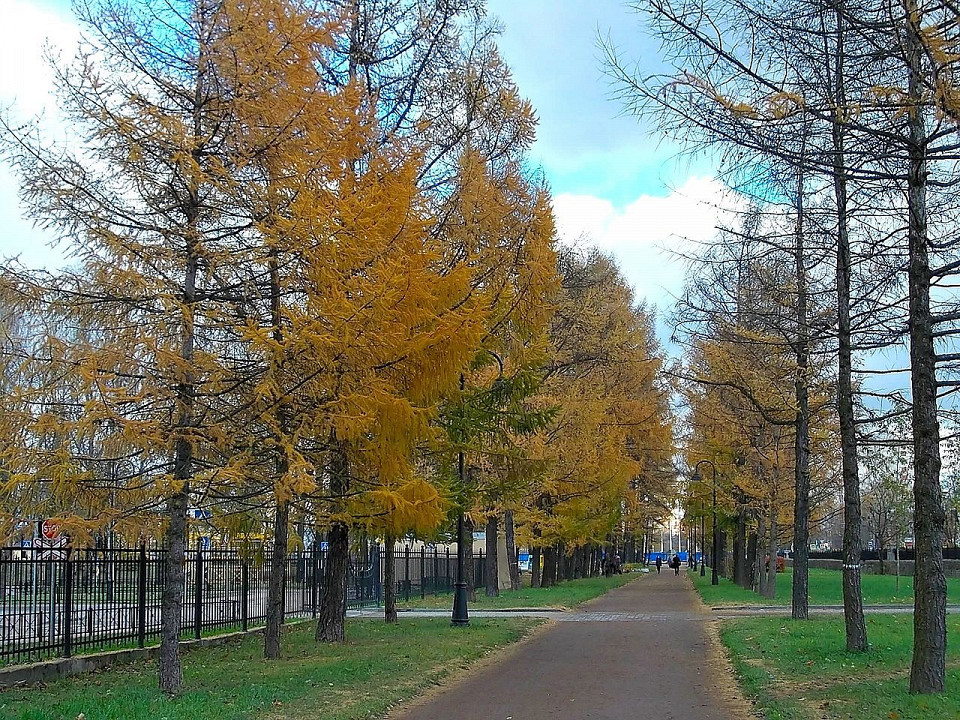 Парк Победы в Санкт-Петербурге, осенняя аллея
