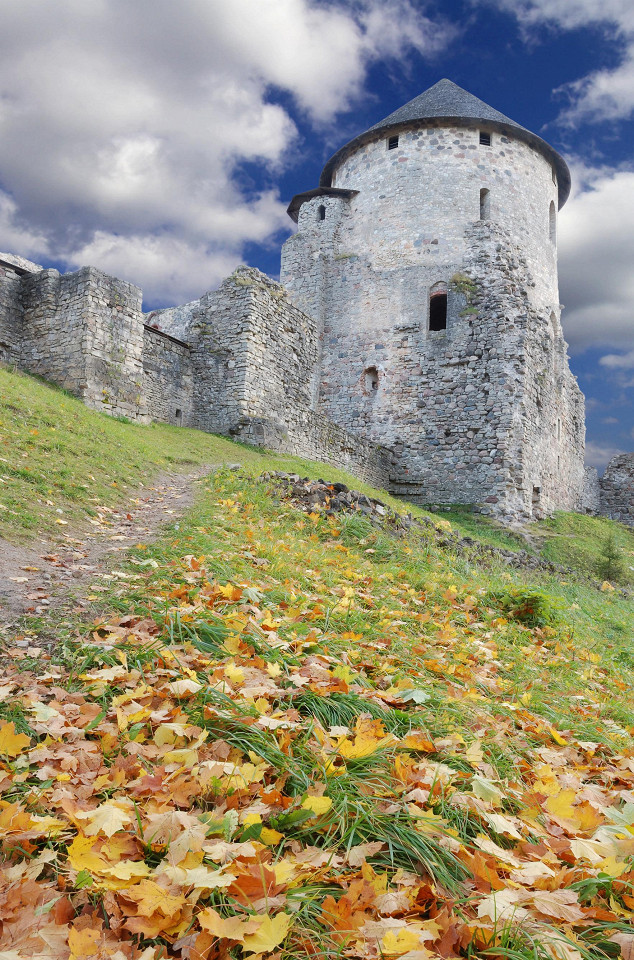 Замок в Цесисе