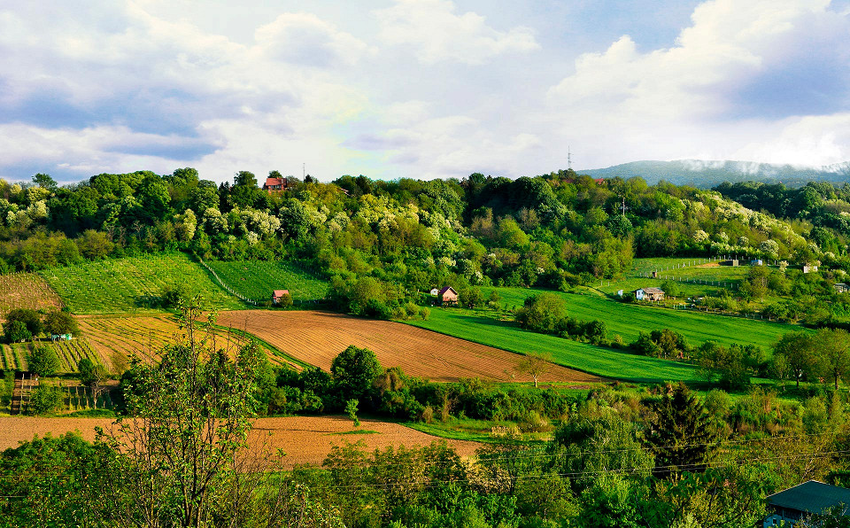 Панорама Национального парка Фрушка-Гора