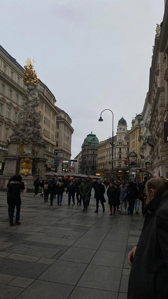 Переезд в Вену, отзыв1