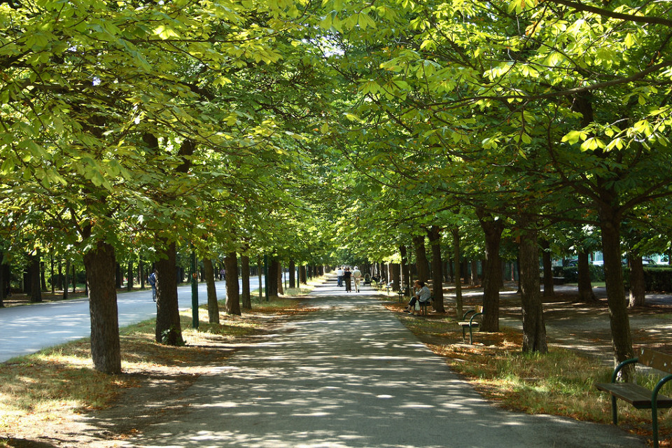 Аллея в парке Пратер, Вена