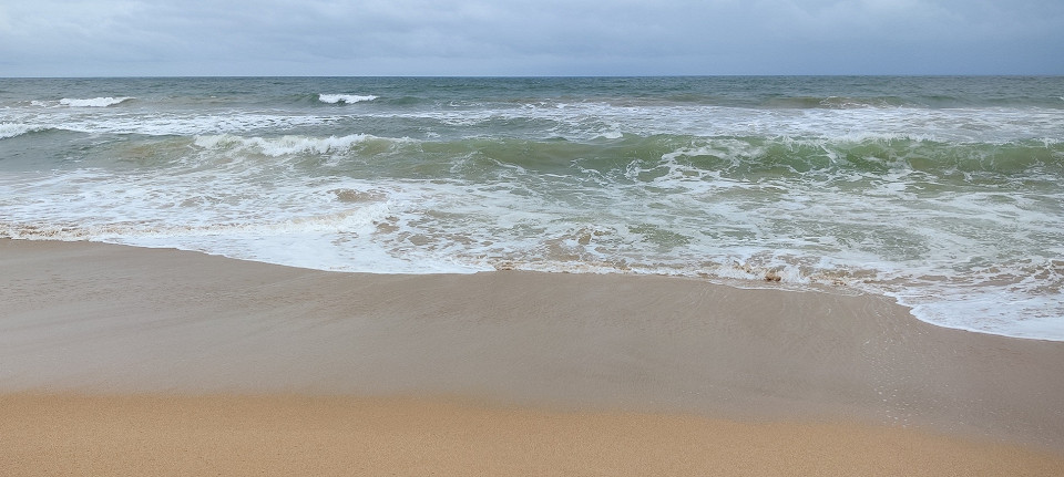 Шри-Ланка из Индии, отзы8