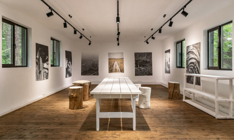 Вили Улей Ока1