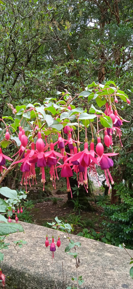 Португалия, отзыв6