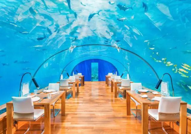Conrad Maldives Rangali Island.jfif