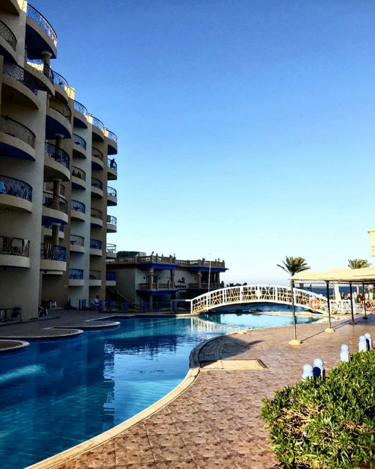 Пульт в пакетике, томные египтяне и собаки в бассейне5