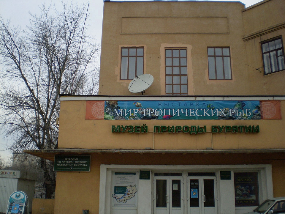 Музей природы Бурятии