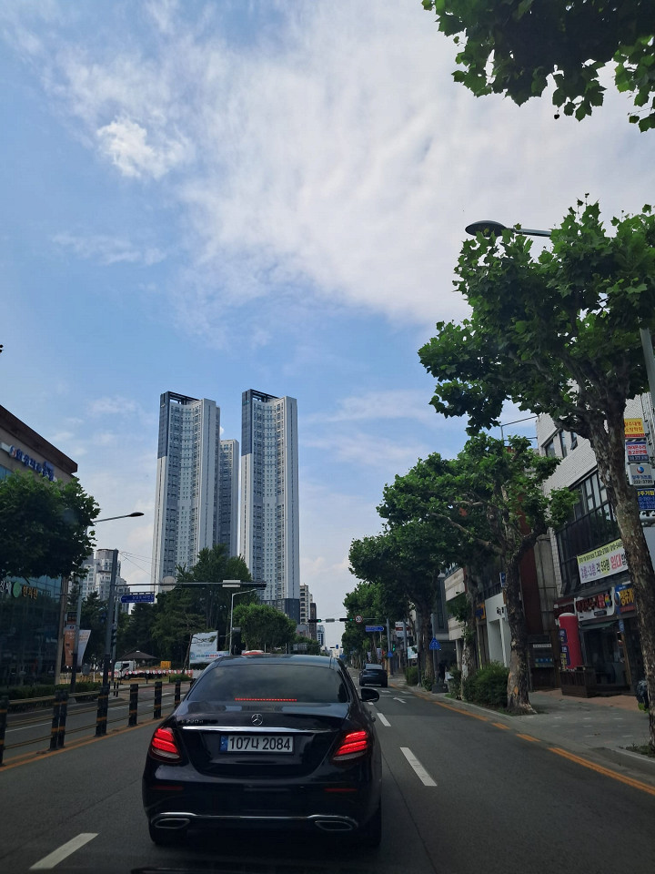 Южная Корея, отзыв