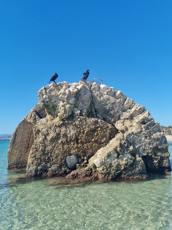 Отпуск на Сардинии, отзыв3