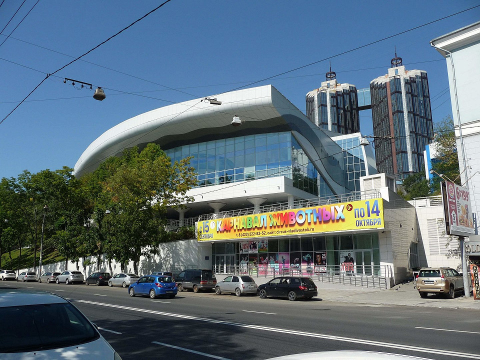 Владивостокский цирк