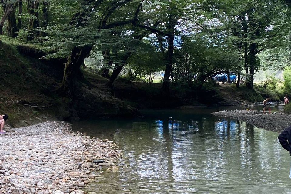 Море впечатлений в Сочи, отзыв5