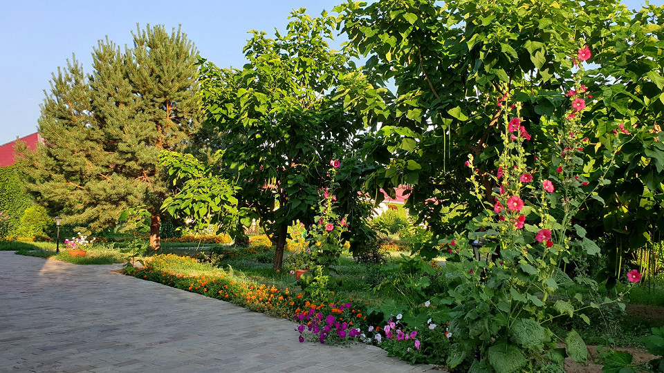 Забил на Турцию1