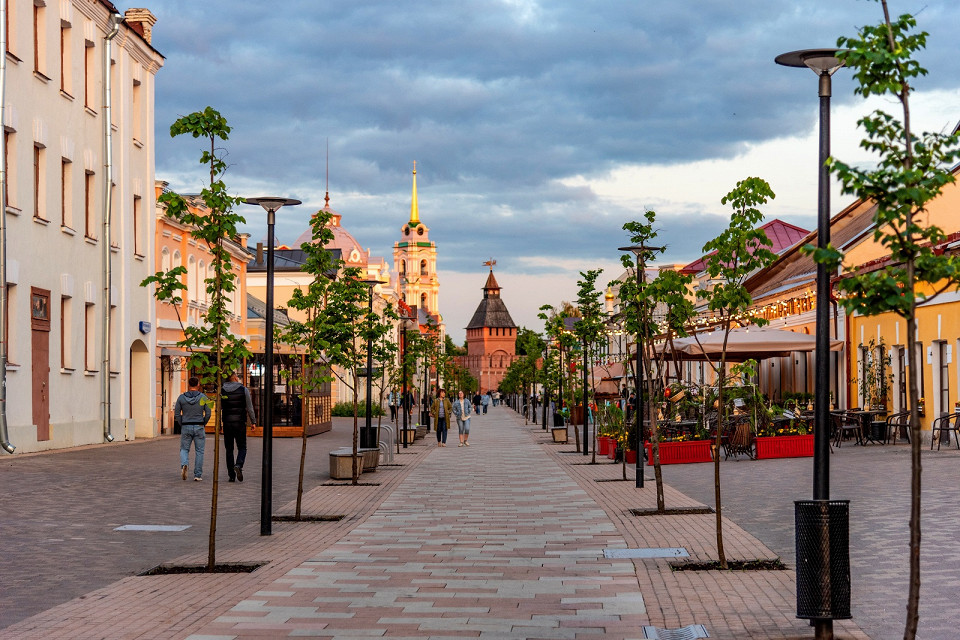 Тула, Тульская область, Россия