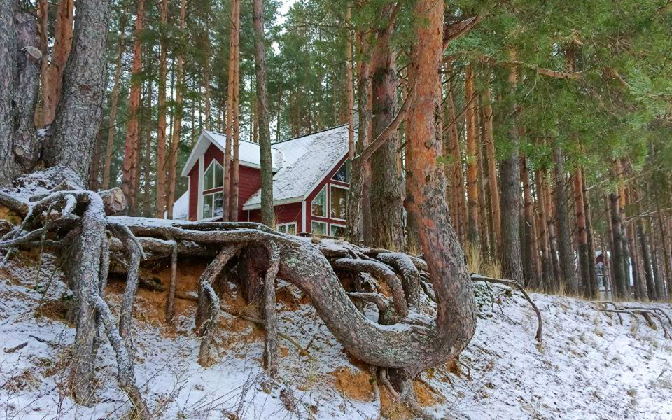 Цивилизация в глуши Коприно1