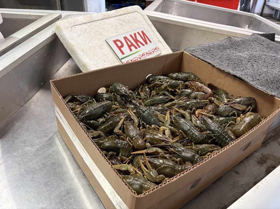 Раки на рынке, Ростов-на-Дону