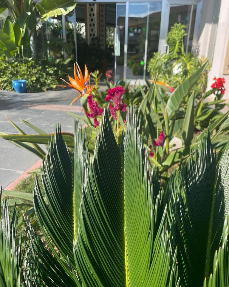 Отдых в «трешке» в самом центре античного Сиде6