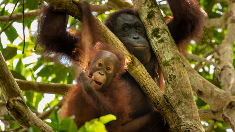 Малайзия, которую вы еще не открыли4