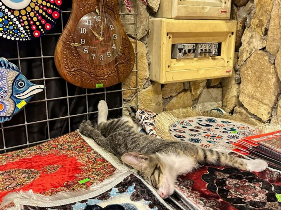 Турция без «все включено» — это недешевое удовольствие 4