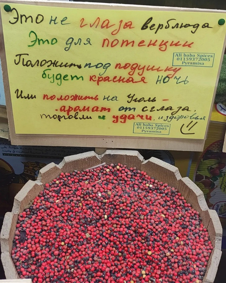 Честный отзыв о Pyramisa Beach Resort Sahl Hasheesh3