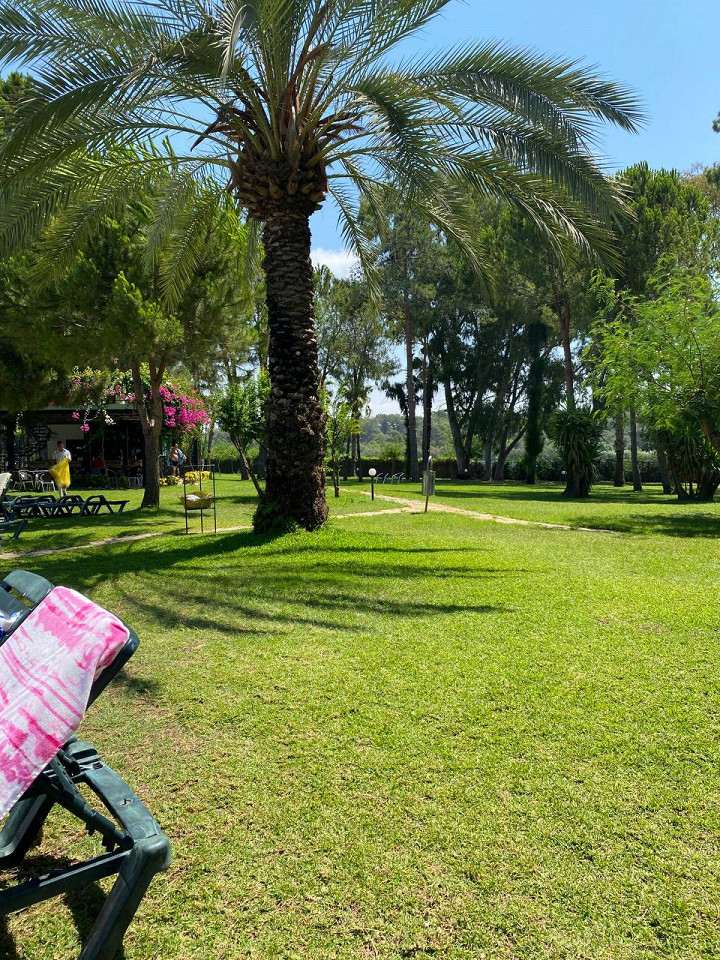 Хороший тур не стоит три копейки4