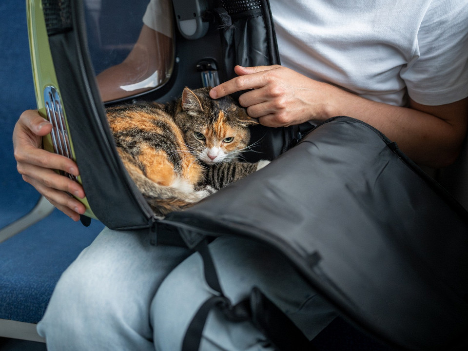 Поезд Москва — Ставрополь 2