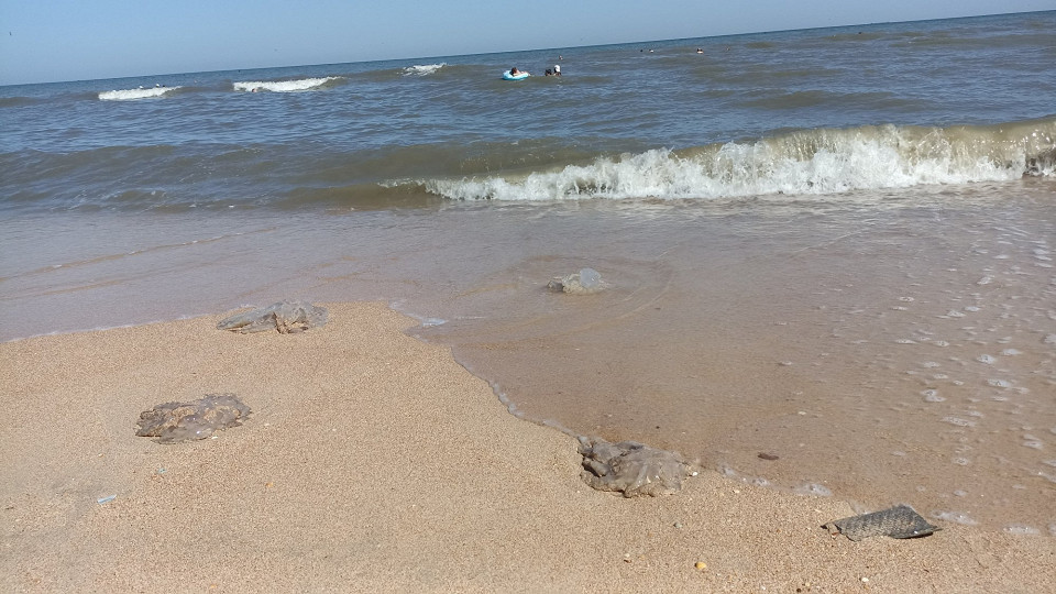 Таманский полуостров, отзыв3