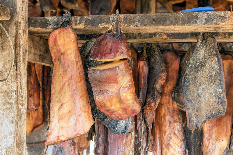 Хакарль — это тухлое мясо гренландской акулы, Исландия