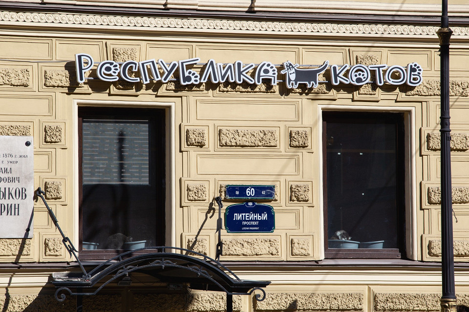 Республика котов