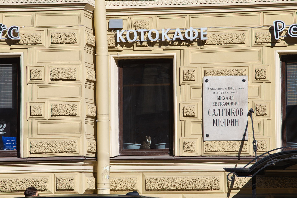 Котокафе
