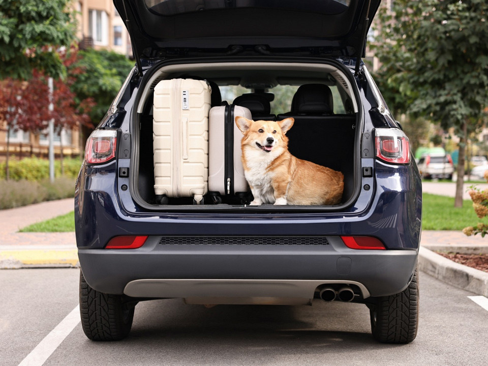 Как добраться до Курского вокзала в Москве: способы и маршруты 2