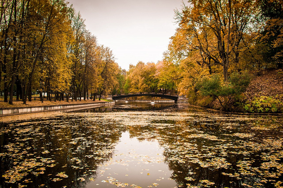 Лопатинский сад, Смоленск
