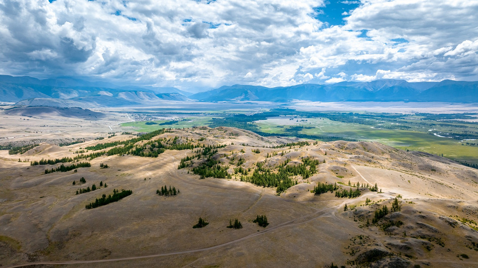 Курайская степь