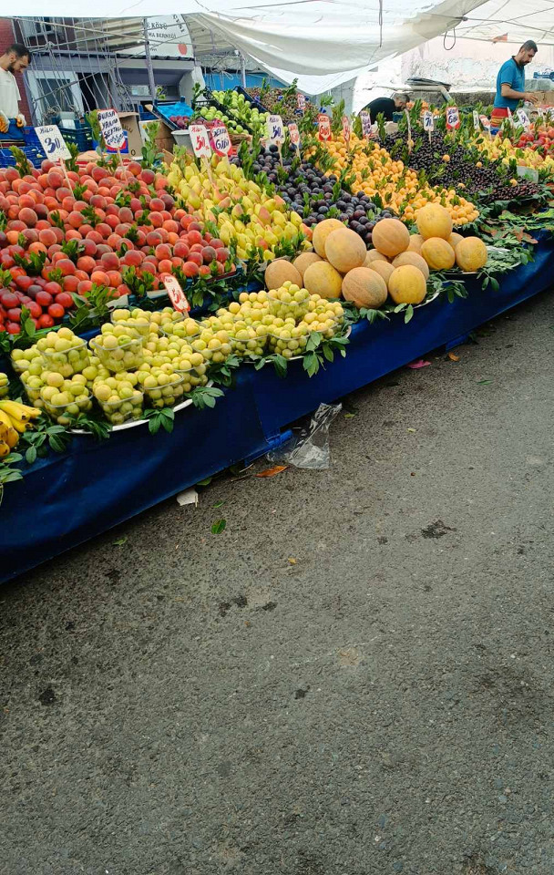 Не вернусь в Анталию, отзыв3