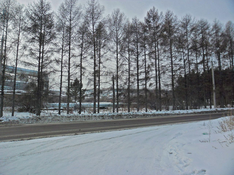 Иркутский Академгородок, дорога