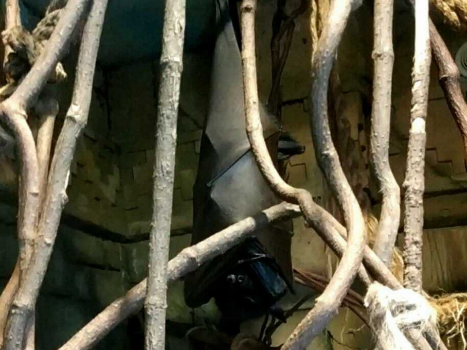 Поехала на свадьбу — осталась на неделю отзыв о Краснодаре 2