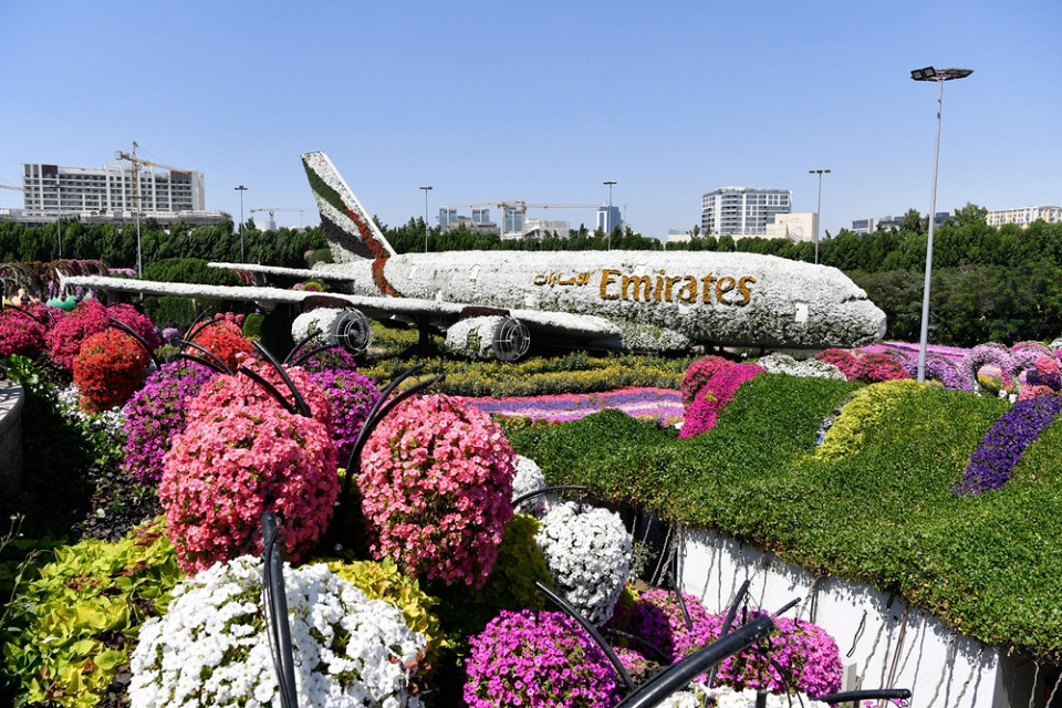 Парк цветов Miracle Garden, Дубай, ОАЭ