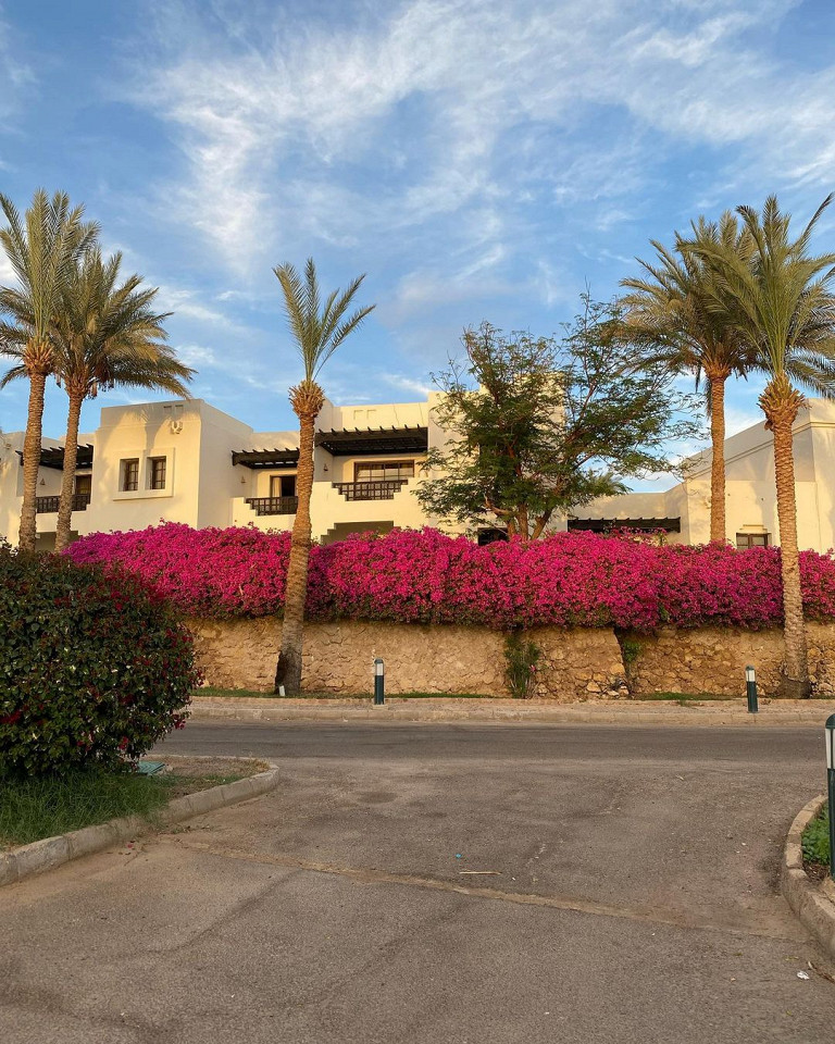 Отзыв об отдыхе в египетском отеле Sharm Plaza1