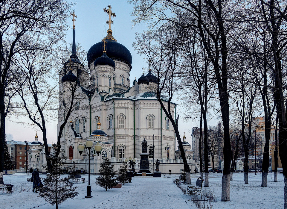 Благовещенский собор Воронежа зимой