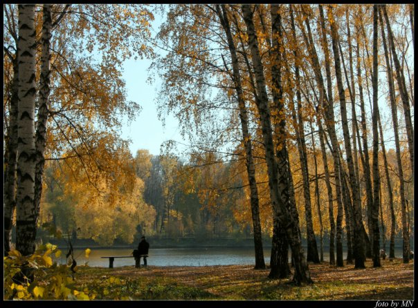 Золотая осень