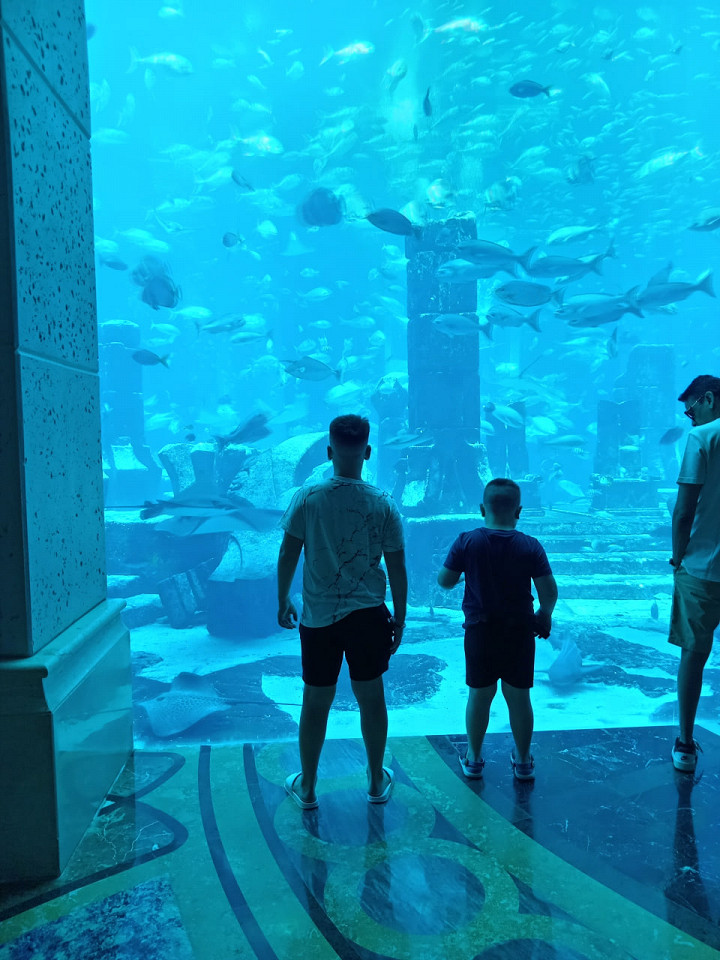 Наш опыт в Atlantis The Palm8