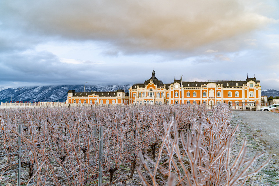Винодельня Chateau de Talu в Геленджике