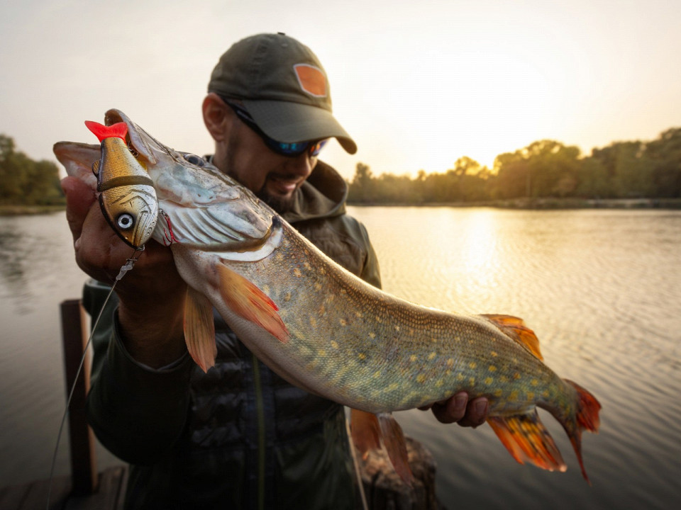 Где ловить щуку: лучшие места, сезон и секреты успешной рыбалки 4