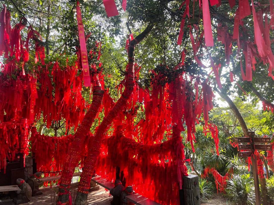 Тринадцать дней на Хайнане за 250 тысяч. Полный гид с ценами, перелетами и советами от туриста 4