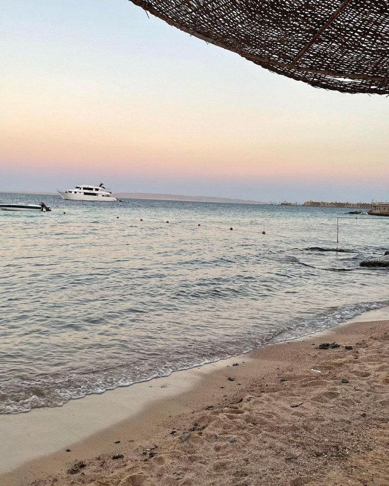 Пульт в пакетике, томные египтяне и собаки в бассейне6