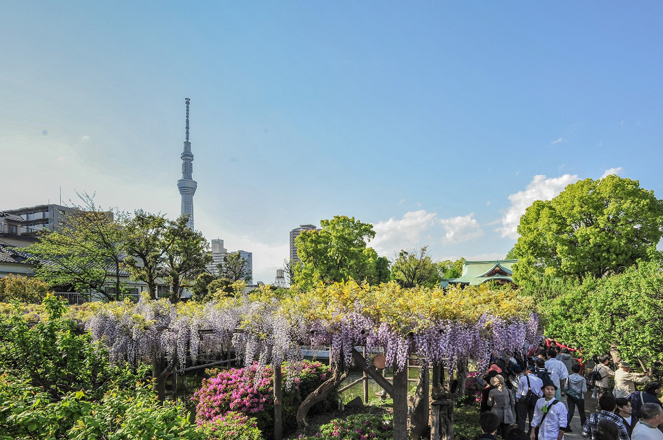 Tokyo Skytree, Япония
